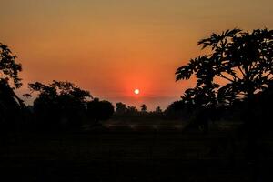 Die Sonne geht morgens und abends auf und unter, und die Bäume sind schwarz beschattet - orangefarbener Himmel und Wolken. warm, romantisch und herrlich schön, es sieht warm und reisend aus. foto