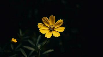 ai generativ Single Gelb Blume im ein dunkel foto