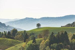 hügelig Landschaft im Nord Italien foto