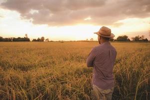 junger asiatischer Bauer und Reisfeld foto
