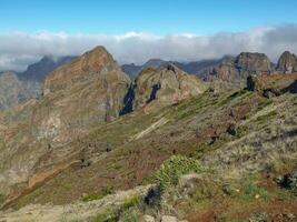 die Insel Madeira foto