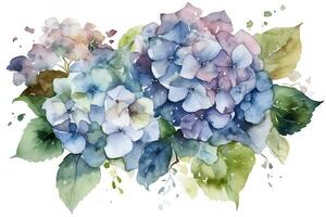 Aquarell Hortensie, lila, Hortensie auf ein Weiß Hintergrund. ai generiert Illustration. foto