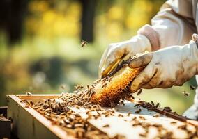 generativ ai, Imker halten ein Bienenwabe voll von Bienen. Imker inspizieren Bienenwabe Rahmen beim Bienenhaus. Bienenzucht ,Imker Arbeiten sammeln Honig foto