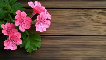 Geranie Pelargonie Blume auf Holz Hintergrund mit Kopieren Raum, ai generativ foto