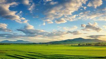 Wiese Land Wolke Panorama Landschaft ai generiert foto