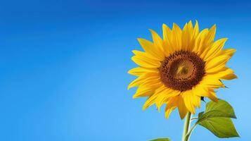 Natur Sommer- Blume Hintergrund beschwingt ai generiert foto