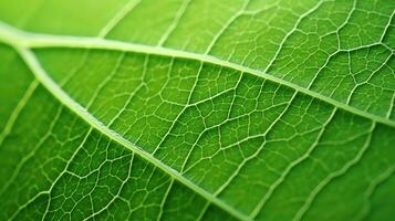 Natur Pflanze Makro Hintergrund schließen ai generiert foto