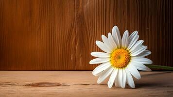 Gänseblümchen Blume auf Holz Hintergrund mit Kopieren Raum, ai generativ foto