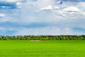 schöne horizontlandschaft in der dorfwiese auf natürlichem farbhintergrund foto