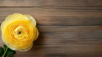 Ranunkel Blume auf Holz Hintergrund mit Kopieren Raum, ai generativ foto