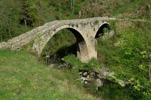 chalancon im ,haute Loire, Frankreich foto