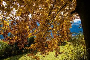 schweizerisch Alpen Landschaft im Herbst foto