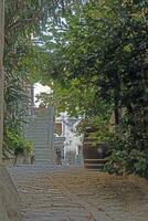 Bild von das Stadt, Dorf von groznjan mit idyllisch Kopfsteinpflaster Straßen und Gebäude gemacht von natürlich Stein foto