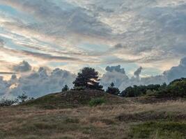 die Insel Spiekeroog foto