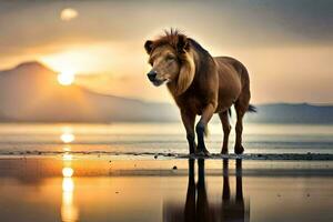 ein Löwe Stehen auf das Strand beim Sonnenuntergang. KI-generiert foto