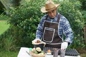 asiatisch Mann Gärtner trägt Hut, Blau Plaid Shirt, Schürze und Handschuhe, Aussaat Avocado Saat im Garten. Konzept, Landwirtschaft. Zuhause Gartenarbeit, Pflanze Vermehrung durch mit Wiederverwendung Müll zu Sein Sämling Töpfe. foto