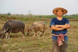 gut aussehend asiatisch Mann Farmer trägt Hut, Blau Shirt, gekreuzt Waffen auf Brust, steht beim Tier Bauernhof. Konzept, Vieh, thailändisch Bauern erziehen und nehmen Pflege Büffel wie wirtschaftlich und Export Tiere. foto