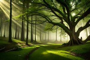 ein Baum im das Mitte von ein Wald mit Sonnenlicht leuchtenden durch Es. KI-generiert foto