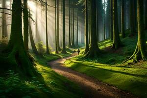 ein Pfad durch ein Wald mit Bäume und Sonnenstrahlen. KI-generiert foto