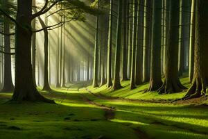 ein Wald mit Bäume und Sonnenstrahlen. KI-generiert foto