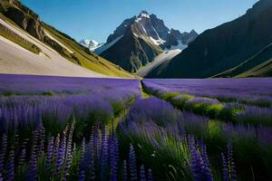 das Lavendel Felder von Kirgistan. KI-generiert foto