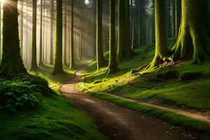 ein Pfad durch ein Wald mit Bäume und Sonnenstrahlen. KI-generiert foto