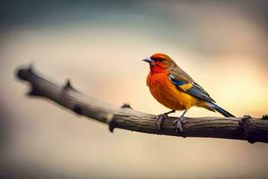 Foto Hintergrund Vogel, das Himmel, das Sonne, das Vogel, das Vogel, das Vogel,. KI-generiert