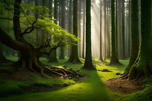 ein Wald mit Bäume und Sonnenlicht leuchtenden durch. KI-generiert foto