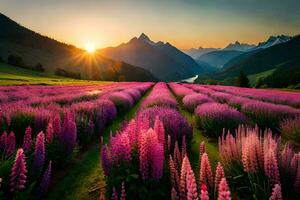 das Sonne steigt an Über ein Feld von Lavendel Blumen im das Berge. KI-generiert foto