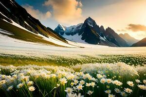 das Sonne scheint auf ein Feld von Weiß Blumen im das Berge. KI-generiert foto
