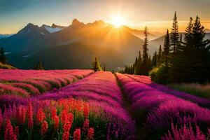 das Sonne steigt an Über ein Feld von Lavendel Blumen. KI-generiert foto