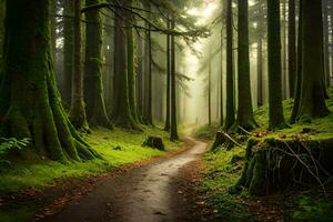 ein Pfad durch ein Grün Wald mit Bäume und Nebel. KI-generiert foto