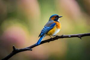 ein Blau und Orange Vogel Sitzung auf ein Ast. KI-generiert foto