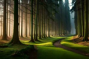 ein Pfad durch ein Wald mit Bäume und Gras. KI-generiert foto
