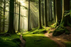 ein Pfad durch ein Wald mit Bäume und Sonnenstrahlen. KI-generiert foto