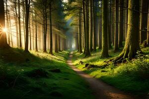ein Pfad durch ein Wald mit Bäume und Sonne. KI-generiert foto