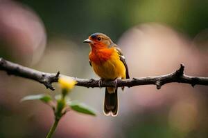 ein klein Orange und rot Vogel Sitzung auf ein Ast. KI-generiert foto