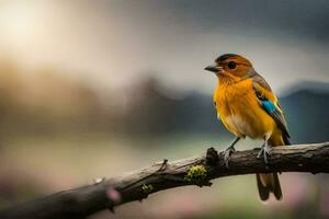 Foto Hintergrund das Himmel, Vogel, Vogel, Vogel, Vogel, Vogel, Vogel, Vogel,. KI-generiert