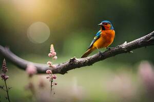 Foto Hintergrund das Himmel, Vogel, Frühling, Blumen, das Sonne, Vogel, Frühling, Die. KI-generiert