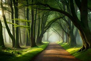 ein Pfad durch ein Wald mit Bäume und Nebel. KI-generiert foto