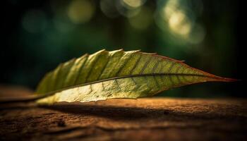 beschwingt Herbst Blatt Muster auf alt Ahorn Ast im Wald generiert durch ai foto