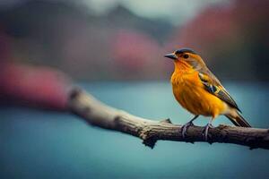 ein klein Orange Vogel Sitzung auf ein Ast. KI-generiert foto