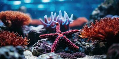 ein schön Seestern um sehr schön Koralle Riff ai generativ foto