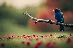 ein Blau Vogel sitzt auf ein Ast im ein Feld von Blumen. KI-generiert foto