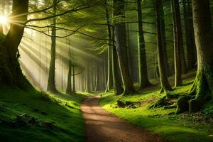 ein Pfad durch ein Grün Wald mit Sonnenstrahlen leuchtenden runter. KI-generiert foto