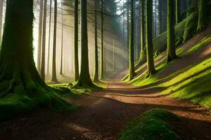 ein Pfad durch ein Wald mit Bäume und Sonnenlicht. KI-generiert foto