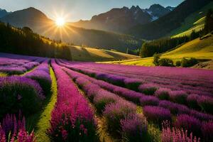 das Sonne steigt an Über Lavendel Felder im das Berge. KI-generiert foto