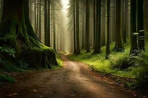 ein Schmutz Straße im das Mitte von ein Wald mit Bäume. KI-generiert foto