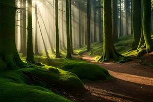 ein Pfad durch ein Wald mit Sonnenstrahlen leuchtenden durch das Bäume. KI-generiert foto