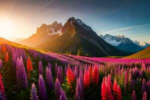 das Sonne steigt an Über das Berge und das Lupine Blumen blühen im das Vordergrund. KI-generiert foto